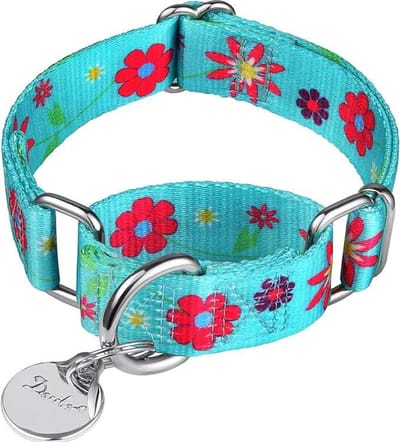 CE - Halsband voor Honden - Zacht - Gladde Afwerking - Lichtgewicht - Bloemmotief Blauw M