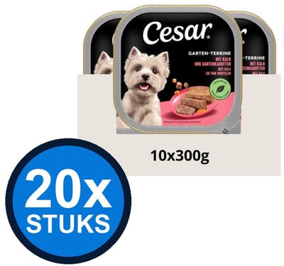 20x Cesar - Primeur Paté Kalf & Worteltjes - Hondenvoer Natvoer - 300g