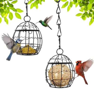 Voederdispensers voor vogels - Hangende vogelvoederstation en vogelstandaard voor wilde vogels