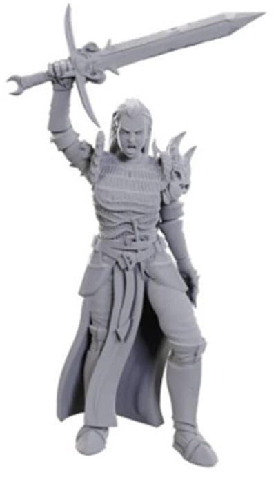 D&D Nolzur's Marvelous Miniatures Blackguard