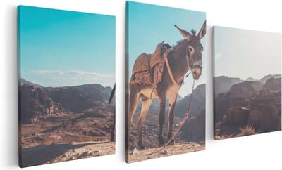 Artaza Canvas Schilderij Drieluik Ezel In De Woestijn Met Helder Blauw Lucht - 120x60 - Foto Op Canvas - Canvas Print