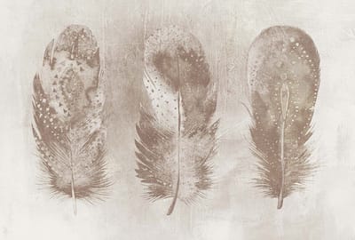 Fotobehang MotleyFeather4 DD117635 A.S. Création Atelier 47 | Fotobehang