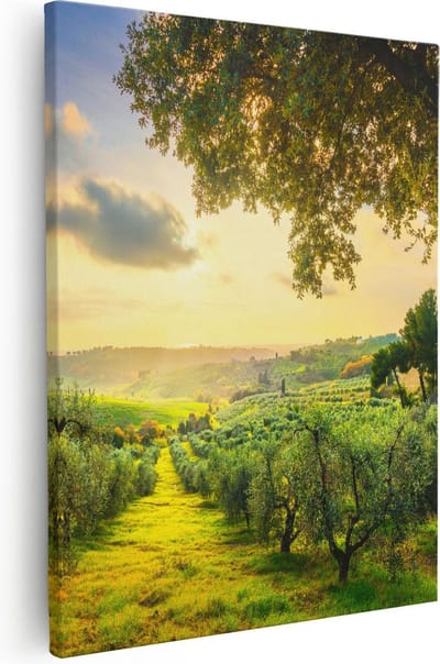 Artaza Canvas Schilderij Olijfboomgaard - 40x50 cm - Wanddecoratie Italië - Muurdecoratie Landschap - Kamer Accessoires Natuur
