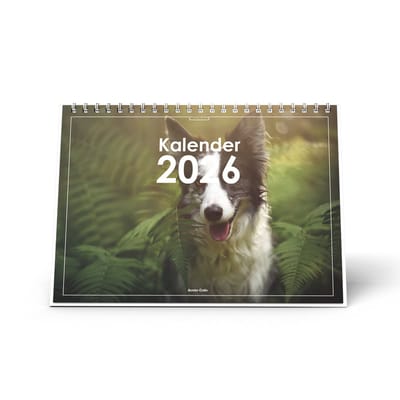 Huurdies - Bureaukalender 2026 - Border Collie