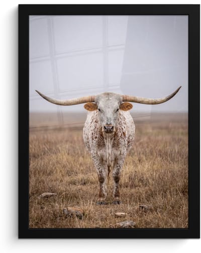 Poster in lijst - Fotolijst 30x40 cm - Posters - Longhorn - Grasveld - Dier - Posterlijst zwart - Decoratie - Wanddecoratie woonkamer - Muurdecoratie slaapkamer