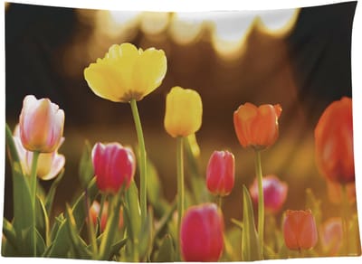 Ulticool - Tulpen Bloemen Natuur - Wandkleed Poster - 200x150 cm - Groot wandtapijt - Tuinposter Tulpenbollen - Schilderij Decoratie Tuin Versiering Accessoire Vrouw voor Moeders