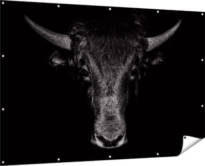 Gards Tuinposter Stierenkop - Stier - Zwart Wit - 180x120 cm - Tuindoek - Tuindecoratie - Wanddecoratie buiten - Tuinschilderij
