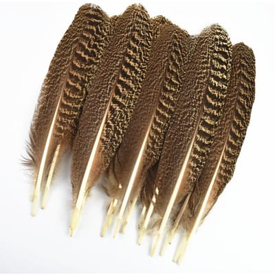 10 Stuks Echte Natuurlijke Adelaarsveren voor Knutselen Decoratie Kalkoen Fazant Carnaval Hoeden Accessoires Veer Decor Pluimen Hoofddeksel