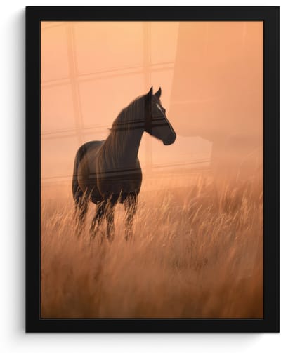 Poster in lijst - Fotolijst 30x40 cm - Posters - Paard - Grasveld - Zonsondergang - Posterlijst zwart - Decoratie - Wanddecoratie woonkamer - Muurdecoratie slaapkamer