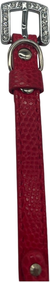 Kattenhalsband / Kleine Hondenhalsband - Rood - Diameter 8 CM - Lengte 30 CM - Breedte 1 CM - Gesp met Luxe Diamantsteen-look