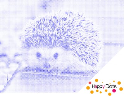HappyDots DOT Painting Egel 30x40cm - Stippelschilderij Blauw