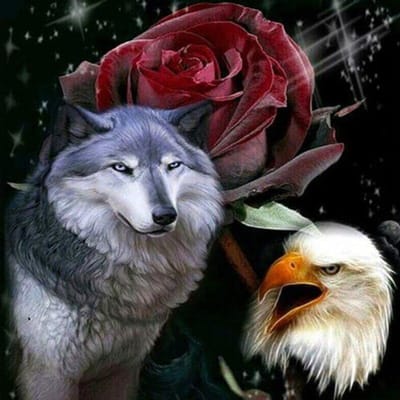 DIY 5D diamant schilderij Wolf Eagle bloem volledige ronde diamant borduurwerk 30x30CM gray