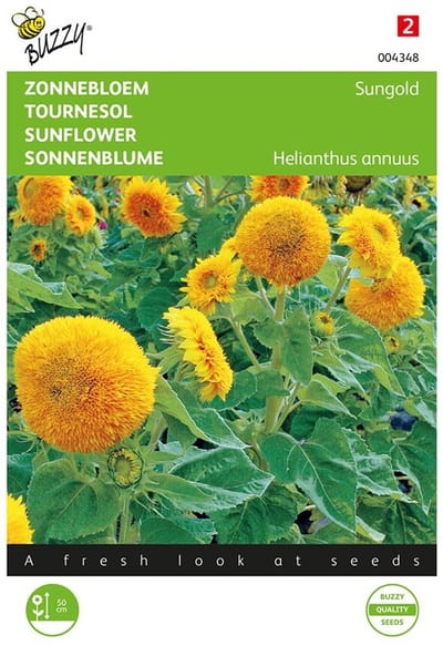 Zonnebloem Sungold - Helianthus annuus