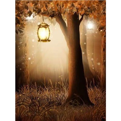 Diamant borduurwerk Mystic Forest Street Light DIY diamant borduurwerk ambachtelijke schilderij kunst muur decor 20X30CM beige