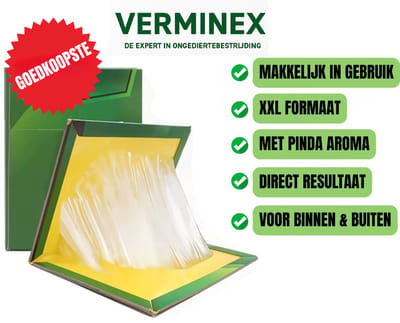 VERMINEX - EXTRA STERKE XXL Lijmvallen 1 Stuk - Pinda Aroma - Professionele Lijmval voor Ongedierte & Insecten - Kant-en-Klaar & Gifvrij