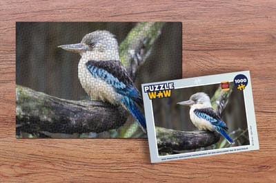 Puzzel Een prachtig gekleurde kookaburra op een krullende tak in Australië - Legpuzzel - Puzzel 1000 stukjes volwassenen