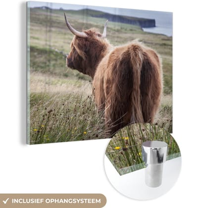 MuchoWow® Glasschilderij 160x120 cm - Schilderij acrylglas - Schotse Hooglander - Natuur - Zee - Foto op glas - Schilderijen