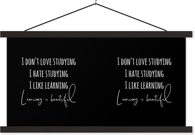Posterhanger incl. Poster 60x30 cm - Schoolplaat - Leren - Studeren - Student - Quotes - Studentenleven - Textielposter - Zwarte latten