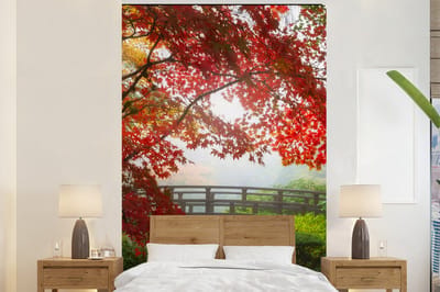 Behang - Fotobehang Japanse esdoorn - Bomen - Brug - Natuur - Japans - Breedte 155 cm x hoogte 240 cm