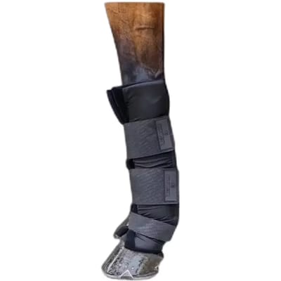 Kentucky Horsewear - Stalbeschermers PROtect lang voor zwart size M