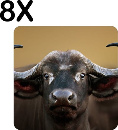 Luxe Placemat - Afrikaanse Buffel - Set van 8 Placemats - 50x50 cm - 2 mm dik Vinyl - Anti Slip - Afneembaar