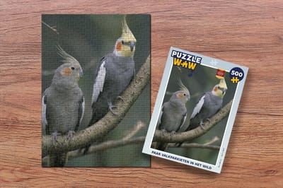 Puzzel Paar valkparkieten in het wild - Legpuzzel - Puzzel 500 stukjes