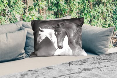 Buitenkussens - Paarden - Dieren - Zwart - Wit - Portret - 60x40 cm - Weerbestendig