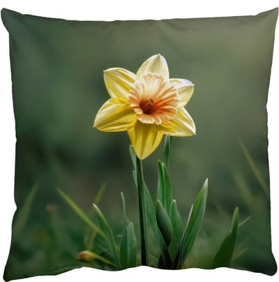 Sierkussens - Kussentjes Woonkamer - 50x50 cm - Bloem - Narcis - Gras - Geel