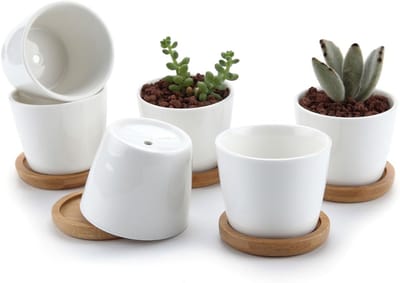 Famanu - Set van 6 keramische ronde vetplantenpotten met bamboe onderzetter 6,5 cm wit