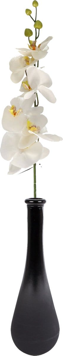 Bellatio Design Kunstbloem Orchidee Milan - creme - 78 cm - losse steel - kunst zijdebloemen - Phalaenopsis