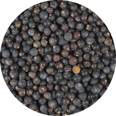 Van Beekum Specerijen - Jeneverbessen - 15 KG - Zak (bulk verpakking)