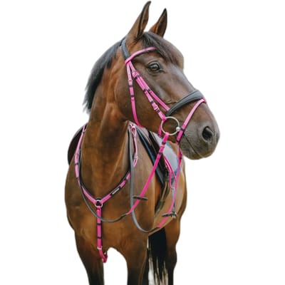 Norton Equestrian Endurance Hoofdstellen Roze Cob