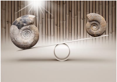 Fotobehangkoning - Behang - Vliesbehang - Fotobehang - Fun with Fossils  - 400 x 280 cm