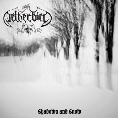 Shadows And Snow