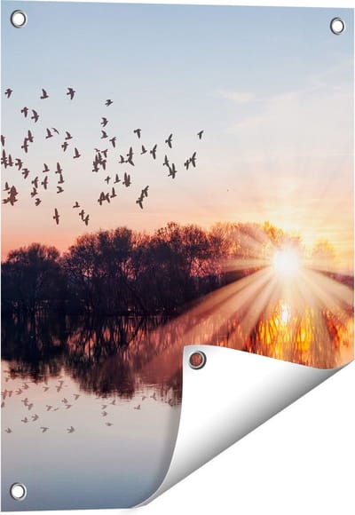 Gards Tuinposter Groep Vogels Boven de Meer met Zonsondergang - 40x50 cm - Tuindoek - Tuindecoratie - Wanddecoratie buiten - Tuinschilderij