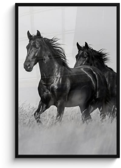 Poster in lijst - Fotolijst 80x120 cm - Posters - Paarden - Gras - Zwart - Wit - Posterlijst zwart - Decoratie - Wanddecoratie woonkamer - Muurdecoratie slaapkamer