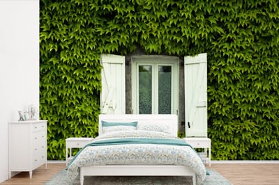 Behang - Fotobehang Raam met luiken tussen de klimplanten - Breedte 420 cm x hoogte 280 cm