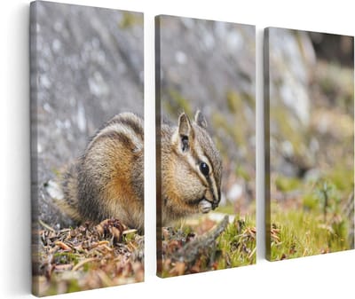 Artaza Canvas Schilderij Drieluik Eekhoorn op het Gras tussen de Bladeren - 120x80 - Foto Op Canvas - Canvas Print