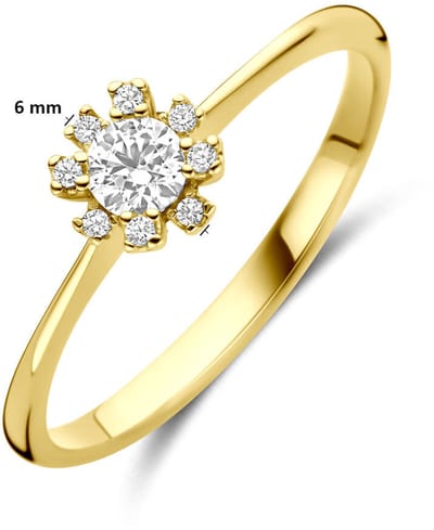 14K Geelgouden Rozet Ring met Zirkonia 4035025 – 6 mm