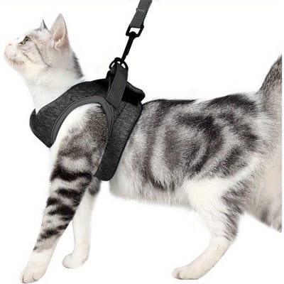 Verstelbare Anti-Ontsnapping Kleine Kat Riem Kitten Tuigje Licht Ademend Zacht Huisdier Vest Tuigje Trekriem Kitten Wandelen S