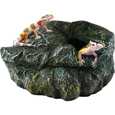 Reptielen schuilplaats Zoomed Shelter