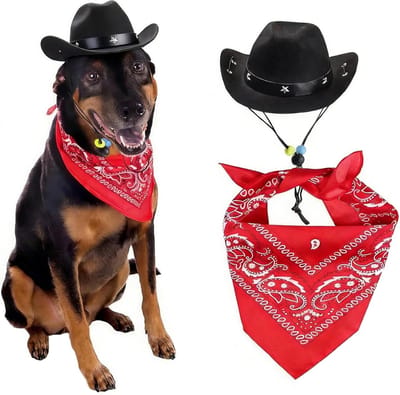 2 Stuks Cowboy Hoed Kostuum voor Honden met Bandana Sjaal - Perfect voor Feestjes, Halloween en Dagelijks Gebruik