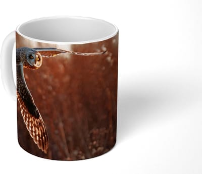 Mok - Koffiemok - Vogel - Uil - Zonsondergang - Natuur - Mokken - 350 ML - Beker - Koffiemokken - Theemok