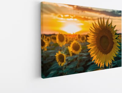 Saammp Canvas Schilderij - Zonnebloemen - Natuur - Landschap - 45x30 - Foto op canvas - Wanddecoratie - Muurdecoratie Woonkamer - Slaapkamer decoratie - Canvas Print