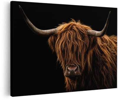 Artaza Canvas Schilderij Schotse Hooglander Dieren - Koe - 60x40 cm - Wanddecoratie Woonkamer - Schilderijen - Muurdecoratie
