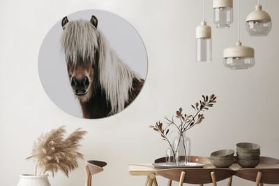 WallCircle® Wandcirkel 140x140 cm - Muurcirkel Paarden - Dieren - Portret - Bruin - Wit - Muurdecoratie woonkamer - Wanddecoratie slaapkamer - Kamer decoratie accessoires - Ronde schilderijen
