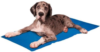 Koelmat hond – Flamingo Frosty – koelmatten voor honden – koelmat kat – koelmat voor honden – koelmat voor katten – 120x80 cm – blauw