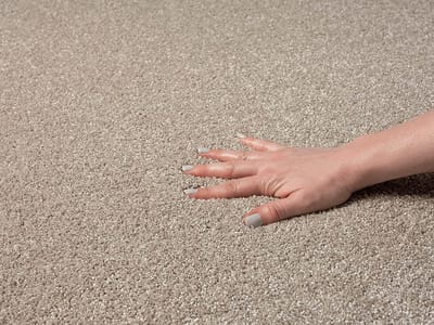 the carpet Grande Modern Pluizig Kortpolig Woonkamerkleed, Superzacht aanvoelend, Elegant en Onderhoudsvriendelijk, 060x110