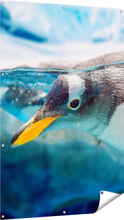 Gards Tuinposter Pingu�n Zwemt onder Water - 100x150 cm - Tuindoek - Tuindecoratie - Wanddecoratie buiten - Tuinschilderij