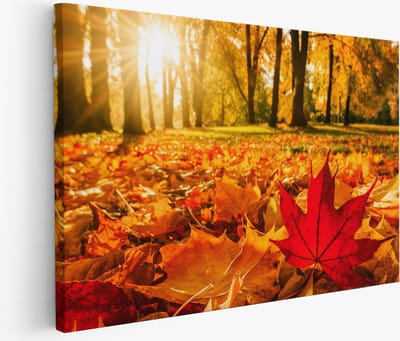 Saammp Muurcirkel Hout - Vrouw met Bloemen En Planten - abstract - Ø 80 - Wandcirkel - Wanddecoratie Cirkel - Muurdecoratie Woonkamer - Slaapkamer decoratie - Rond Schilderij